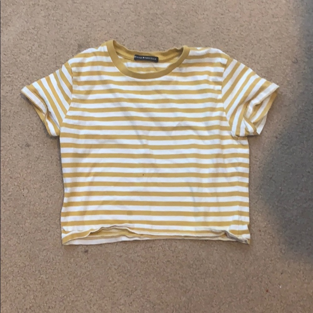 Striped Cropped Brandy Melville Tshirt
